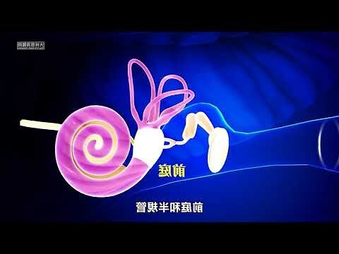 耳朵長毛的人