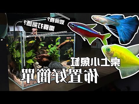 魚缸圖片