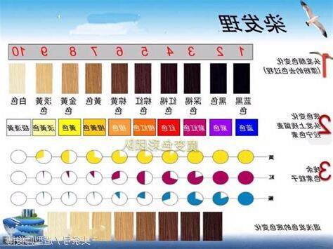 紫色組成