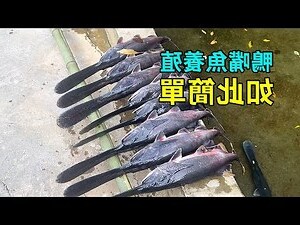 鴨嘴魚種類