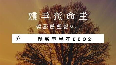 2023生命靈數流年