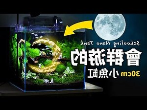 魚缸怎麼畫