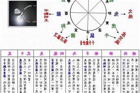 2003五行