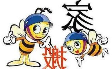 搬家入宅順序