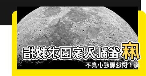 麻雀飛到家裡怎麼辦