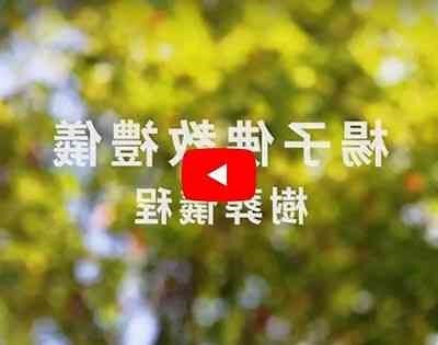 法鼓山樹葬費用