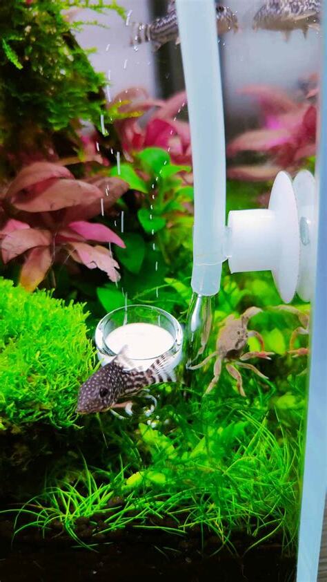 最強風水