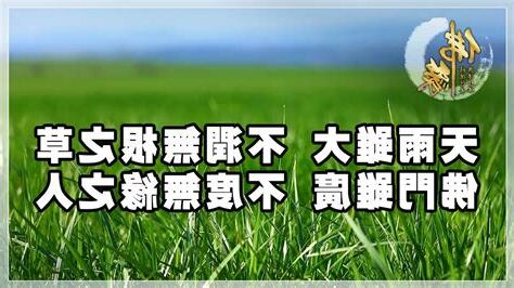 天雨雖大不潤無根之草