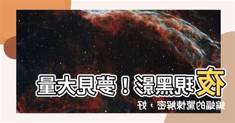 夢見很多蝙蝠