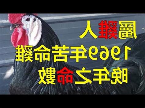 屬雞2023