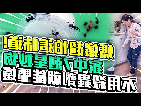 水裡有螞蟻