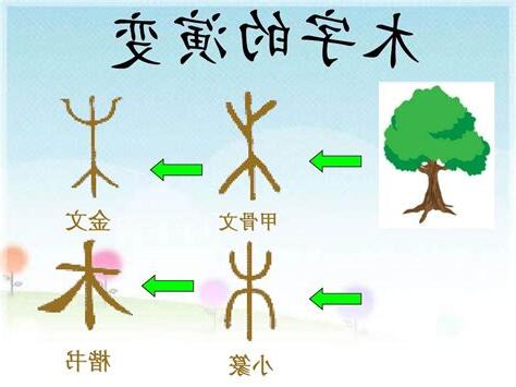 木字旁的字繁體
