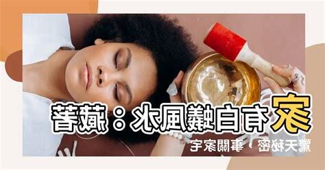家有白蟻風水