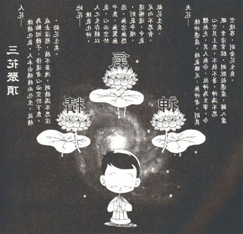 三花聚頂意思
