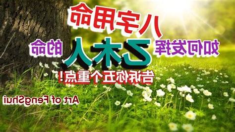 乙木人八字