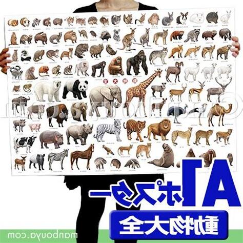 動物大全
