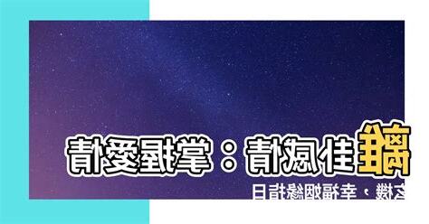 離卦感情
