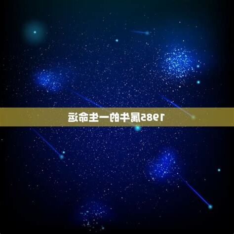 1985属