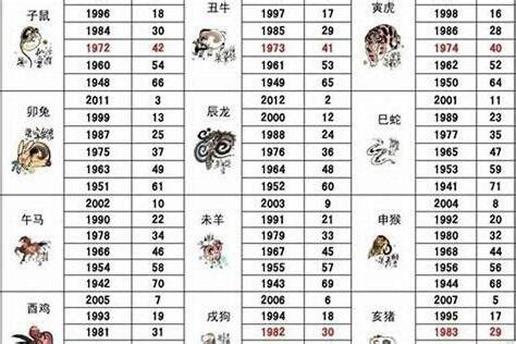 生肖屬狗