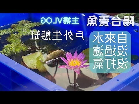 魚缸放陽台