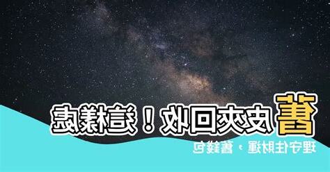 舊皮夾處理