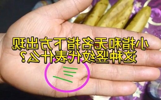 小拇指四道纹