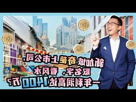 新加坡新天地集團