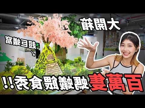 桌子上有螞蟻