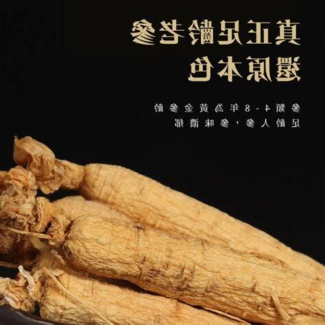 人參