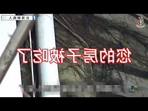 外牆除樹