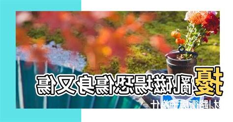 房子磁場不好