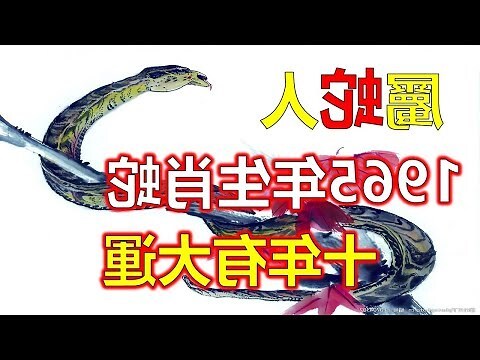 蛇年出生年份