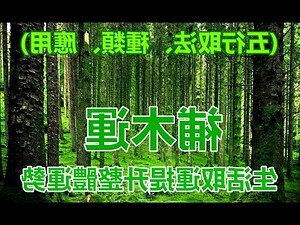 五行金多缺木