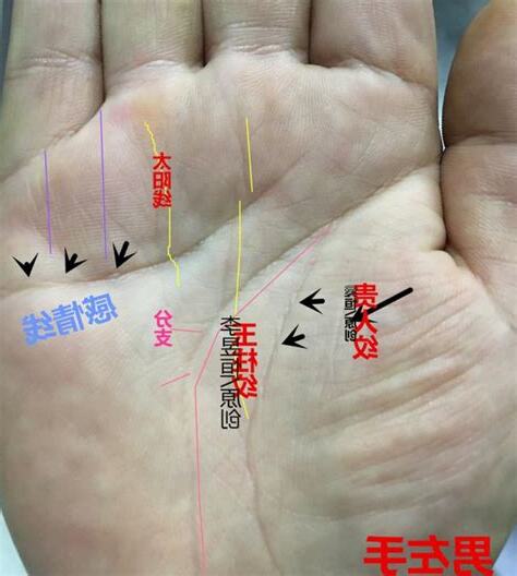 玉柱紋