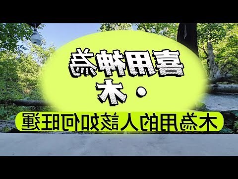 喜用神火職業