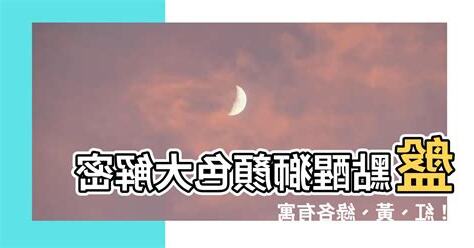 醒獅顏色代表