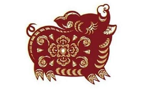 生肖猪适合什么颜色