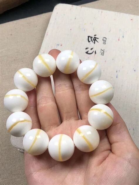 硨磲手鍊