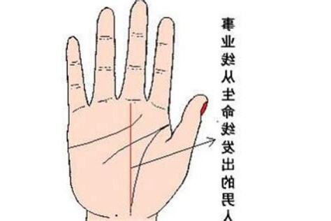 男手相分析