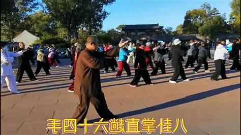 六十四手