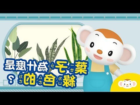 小知識