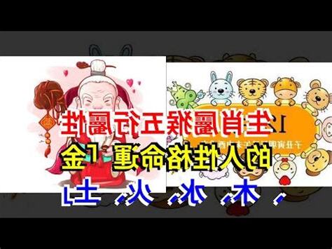 屬猴的五行