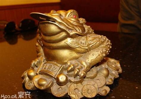 金蟾蜍摆放位置