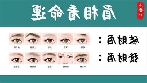 眉毛形狀面相