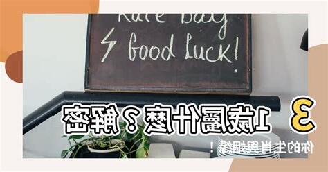 31歲屬什麼