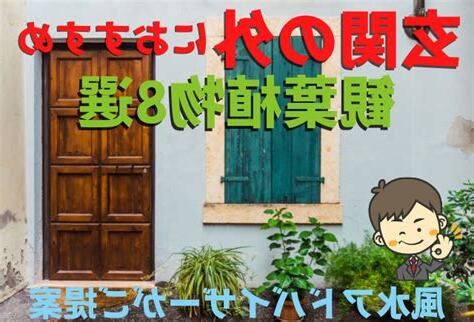 屋外風水