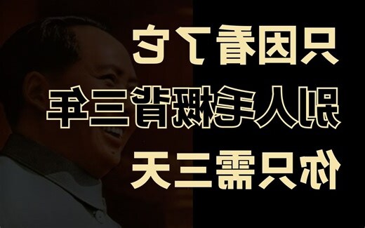背上的毛