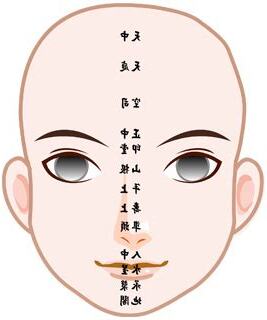 面相部位