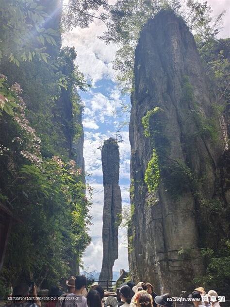 一柱香幾分鐘