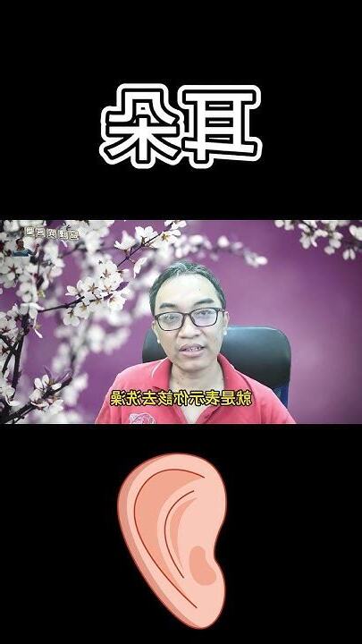 耳朵命理